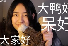 up主靠吃瓜爆料红了,揭秘吃瓜爆料如何成就网红之路